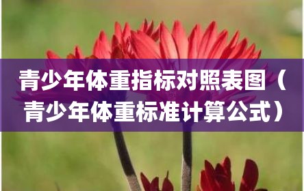 青少年体重指标对照表图（青少年体重标准计算公式）