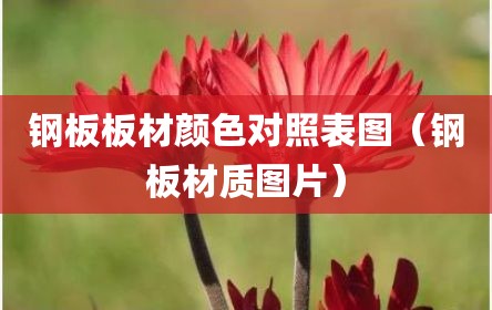 钢板板材颜色对照表图（钢板材质图片）