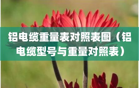 铝电缆重量表对照表图（铝电缆型号与重量对照表）