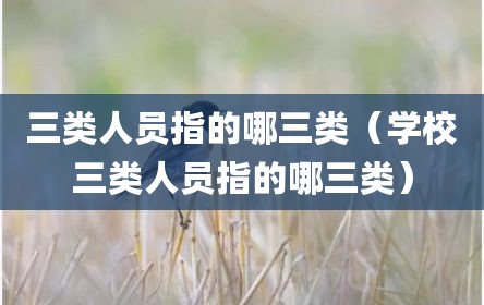 三类人员指的哪三类（学校三类人员指的哪三类）