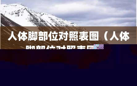 人体脚部位对照表图（人体脚部位对照表图片）