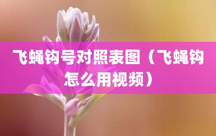 飞蝇钩号对照表图（飞蝇钩怎么用视频）