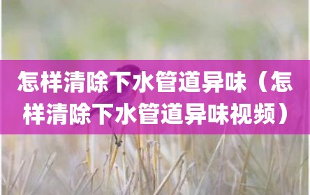 怎样清除下水管道异味（怎样清除下水管道异味视频）