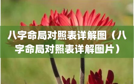 八字命局对照表详解图（八字命局对照表详解图片）