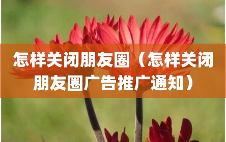 怎样关闭朋友圈（怎样关闭朋友圈广告推广通知）