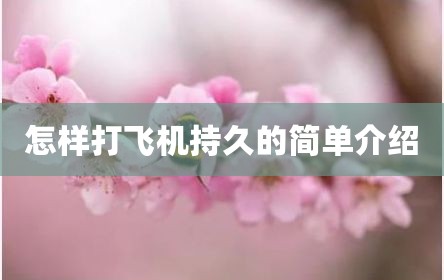 怎样打飞机持久的简单介绍