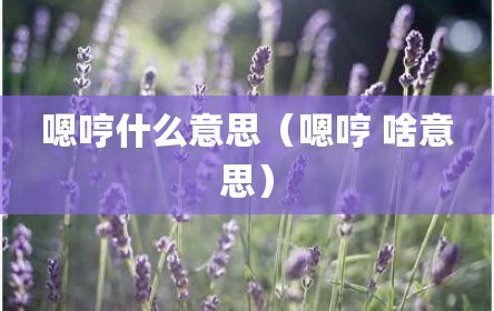 嗯哼什么意思（嗯哼 啥意思）