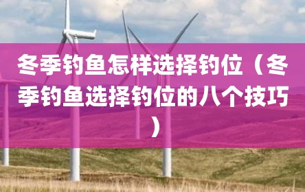 冬季钓鱼怎样选择钓位（冬季钓鱼选择钓位的八个技巧）