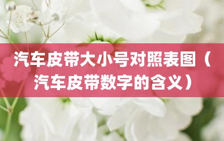 汽车皮带大小号对照表图（汽车皮带数字的含义）