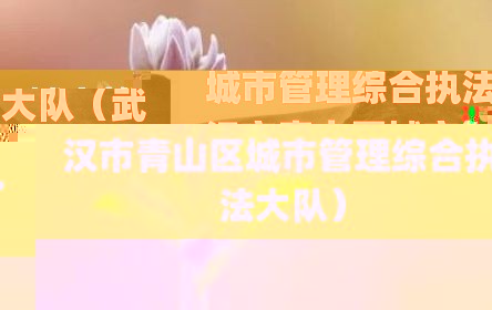 城市管理综合执法大队（武汉市青山区城市管理综合执法大队）