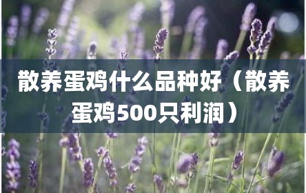 散养蛋鸡什么品种好（散养蛋鸡500只利润）