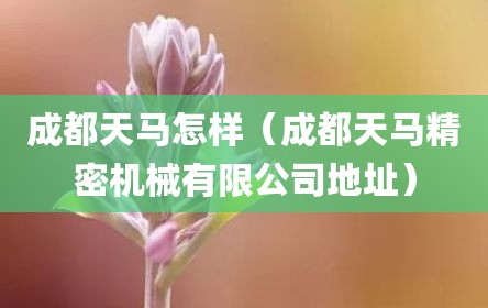 成都天马怎样（成都天马精密机械有限公司地址）