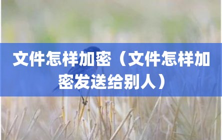 文件怎样加密（文件怎样加密发送给别人）