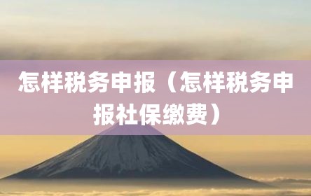 怎样税务申报（怎样税务申报社保缴费）