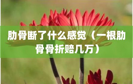 肋骨断了什么感觉（一根肋骨骨折赔几万）