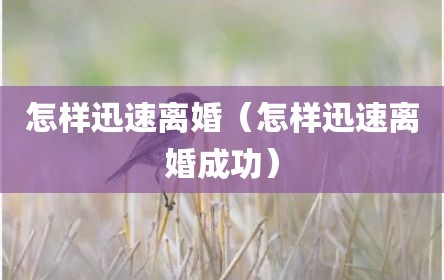 怎样迅速离婚（怎样迅速离婚成功）