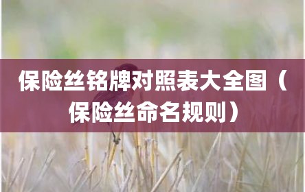 保险丝铭牌对照表大全图（保险丝命名规则）