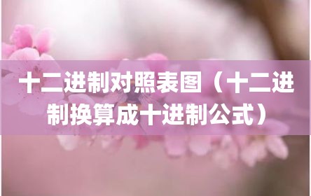 十二进制对照表图（十二进制换算成十进制公式）