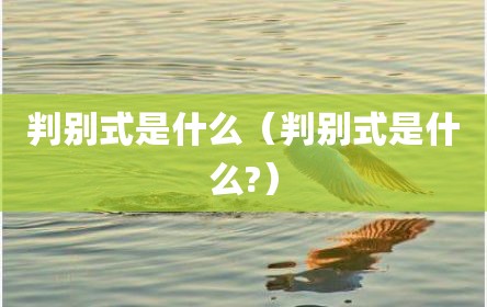 判别式是什么（判别式是什么?）