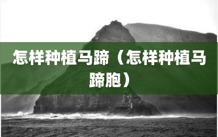 怎样种植马蹄（怎样种植马蹄胞）