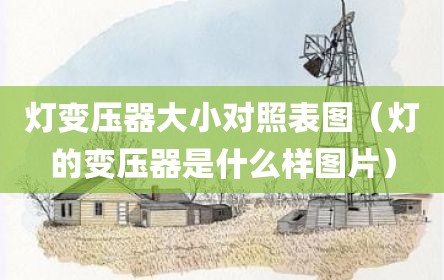 灯变压器大小对照表图（灯的变压器是什么样图片）