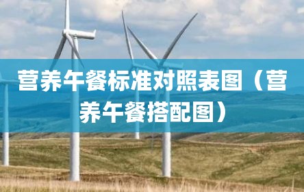营养午餐标准对照表图（营养午餐搭配图）