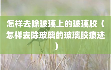 怎样去除玻璃上的玻璃胶（怎样去除玻璃的玻璃胶痕迹）