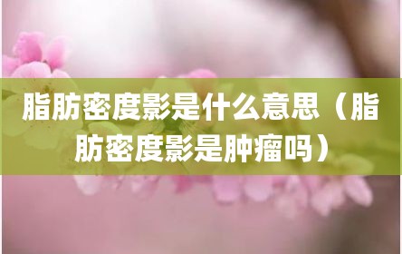 脂肪密度影是什么意思（脂肪密度影是肿瘤吗）