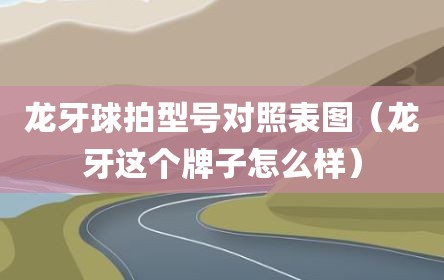 龙牙球拍型号对照表图（龙牙这个牌子怎么样）