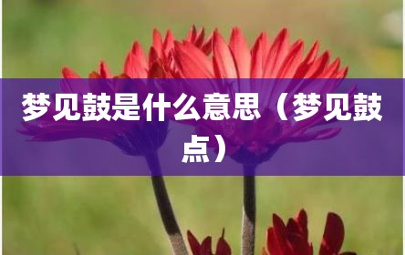 梦见鼓是什么意思（梦见鼓点）