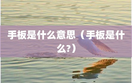 手板是什么意思（手板是什么?）