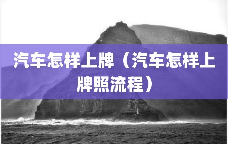 汽车怎样上牌（汽车怎样上牌照流程）