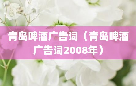 青岛啤酒广告词（青岛啤酒广告词2008年）