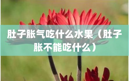 肚子胀气吃什么水果（肚子胀不能吃什么）