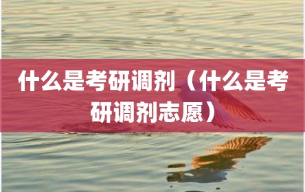 什么是考研调剂（什么是考研调剂志愿）