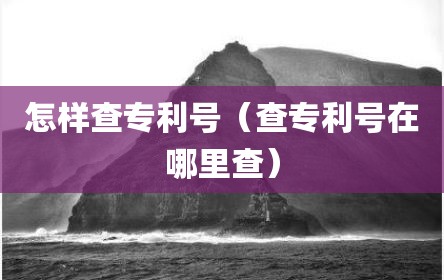 怎样查专利号（查专利号在哪里查）