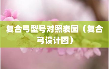 复合弓型号对照表图（复合弓设计图）