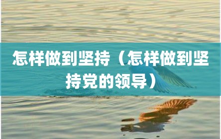 怎样做到坚持（怎样做到坚持党的领导）