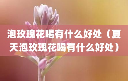 泡玫瑰花喝有什么好处（夏天泡玫瑰花喝有什么好处）