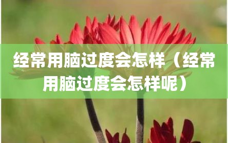 经常用脑过度会怎样（经常用脑过度会怎样呢）
