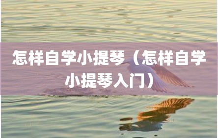 怎样自学小提琴（怎样自学小提琴入门）
