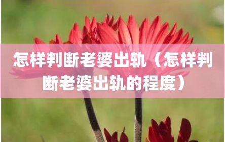 怎样判断老婆出轨（怎样判断老婆出轨的程度）