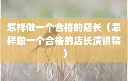 怎样做一个合格的店长（怎样做一个合格的店长演讲稿）