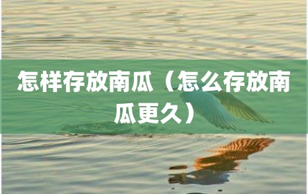 怎样存放南瓜（怎么存放南瓜更久）