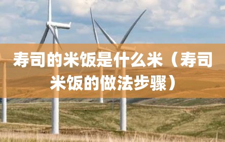寿司的米饭是什么米（寿司米饭的做法步骤）