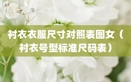 衬衣衣服尺寸对照表图女（衬衣号型标准尺码表）