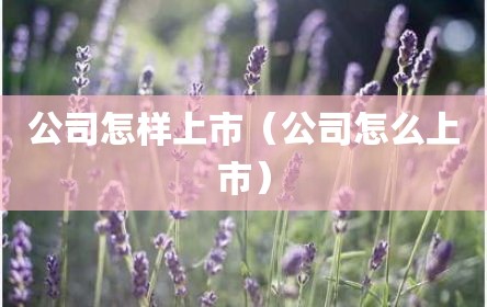 公司怎样上市（公司怎么上市）