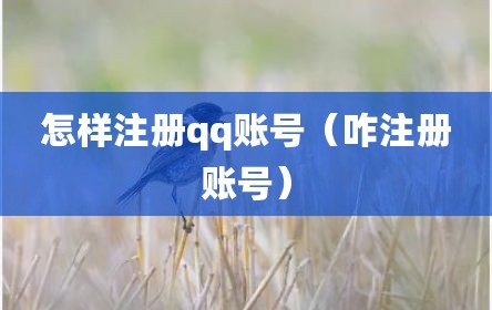 怎样注册qq账号（咋注册账号）