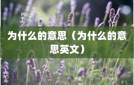 为什么的意思（为什么的意思英文）