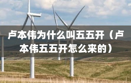 卢本伟为什么叫五五开（卢本伟五五开怎么来的）